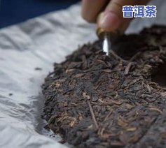 普洱茶良种选育方法和技术要求，普洱茶优良品种的选育：方法与技术要求