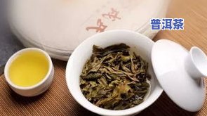 普洱茶良种选育方法和技术，普洱茶优良品种的选育方法与技术探析