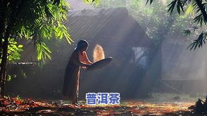 大 *** 普洱茶价格表及图片，【图】大 *** 普洱茶价格表，一目了然！