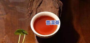 泡熟普洱茶为什么会苦味，揭示普洱茶的苦涩秘密：为何泡熟普洱茶会带苦味？