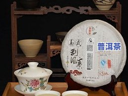 普洱茶的星是什么意思，解密普洱茶之星：含义与背后的故事