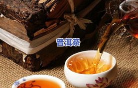 广东人买普洱茶好吗，探讨广东人购买普洱茶的合适性