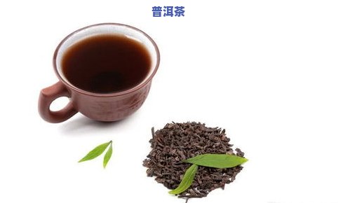 普洱茶在广东，广东人更爱的饮品：深入了解普洱茶的魅力