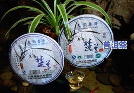 云南玉龙祥茶厂，探寻云南的瑰宝：玉龙祥茶厂的魅力与品质