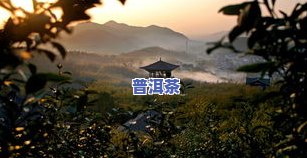 名山什么茶更好闻，探寻名山之最：哪种茶叶的香气最为迷人？