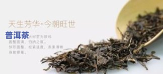 狗年普洱茶-狗年生肖普洱茶价格