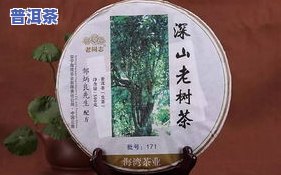 百年老树普洱茶价格，探秘百年老树普洱茶的价格：一份独特的投资选择