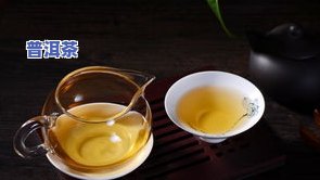 味道香的普洱茶是哪种品种的，揭秘：哪种品种的普洱茶味道最香？