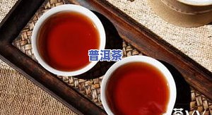 储存普洱茶饼是熟茶好还是生茶好，普洱茶饼存储：熟茶与生茶的比较与选择