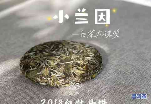 再存点普洱茶饼-再存点普洱茶饼能放多久