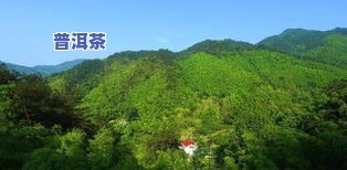 常宁市塔山名茶，探秘湖南常宁市塔山名茶：品味历史与自然的交融