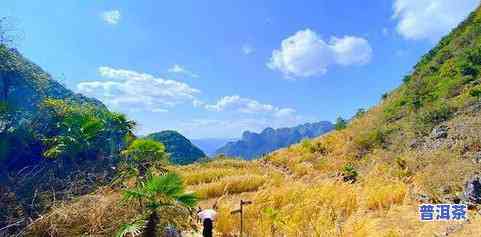 常宁市塔山名茶，探秘湖南常宁市塔山名茶：品味历史与自然的交融