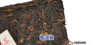 普洱茶国营茶厂改制，破旧立新：普洱茶行业国营茶厂的改制之路