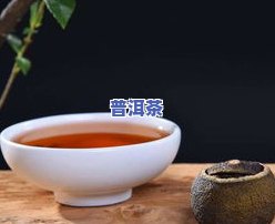 普洱茶煮水壶，用普洱茶煮水壶，体验独特的茶香风味