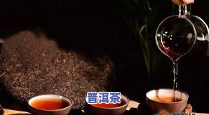 普洱茶加什么更佳，探究更佳搭配：普洱茶与什么最相宜？