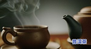 观察茶叶泡水的过程科学课，探索茶的世界：科学观察茶叶泡水过程