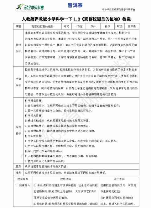 观察茶叶泡水的过程科学课，探索茶的世界：科学观察茶叶泡水过程