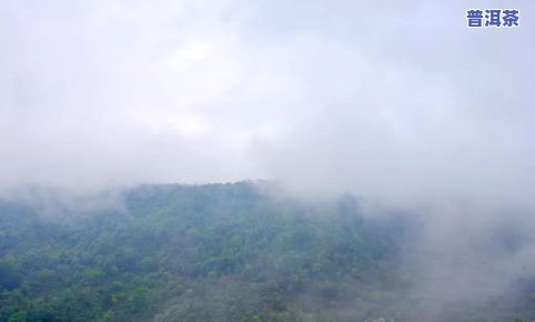 普洱茶六大山头是什么，探秘普洱茶的六大山头，品味云南特别的茶香世界