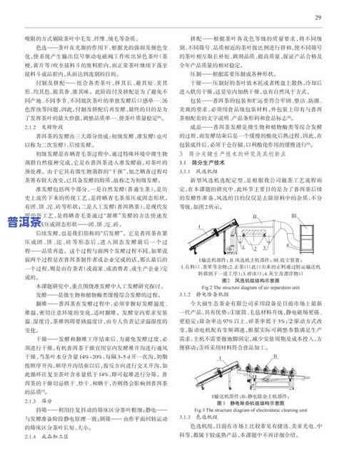 观察茶叶泡水的过程-观察茶叶泡水的过程作文