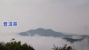 普洱茶六大山头是哪六个，探秘普洱茶六大山头：你熟悉多少？