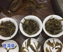 普洱茶压饼规格多大的更好呢，如何选择更佳的普洱茶压饼规格？