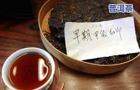 荒田普洱茶，品味自然：探索荒田普洱茶的特别魅力