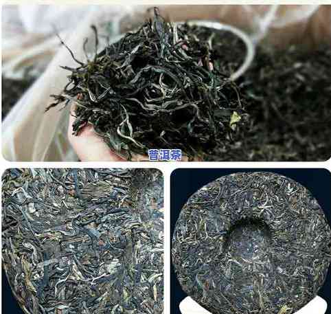 冰岛普洱茶为啥只做生茶呢，探秘冰岛普洱茶：为何只制作生茶？