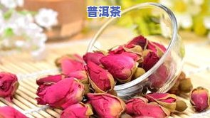 玫瑰和普洱茶能一起泡吗，玫瑰与普洱茶：能否共泡？