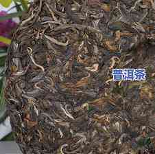 千家寨普洱茶生茶，探索云南千家寨：品味特别口感的普洱茶生茶