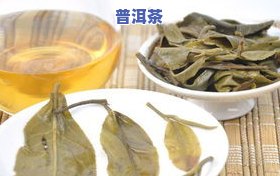 冰岛老寨普洱茶功效，探究冰岛老寨普洱茶的神奇功效