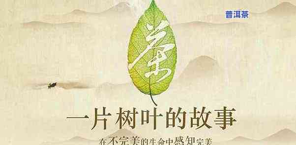 关于茶叶的相关知识，探索茶叶的世界：从历史到种类，你需要知道的一切