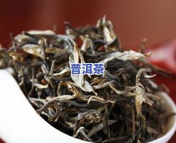 冰岛普洱茶老寨茶价格表-冰岛普洱茶老寨茶价格表和图片