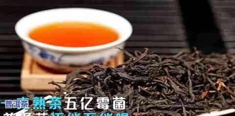 普洱茶被冷冻了怎么办能喝吗，普洱茶被冷冻后还能喝吗？解决方法大揭秘！