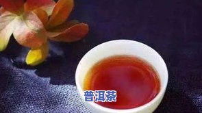 普洱茶絮状物沉底，探究普洱茶絮状物沉底的原因与处理方法