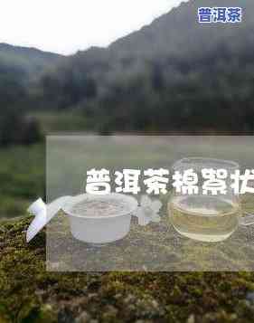 普洱茶絮状物沉底，探究普洱茶絮状物沉底的原因与处理方法