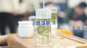 茶叶冷泡超过6小时还能喝吗，茶叶冷泡超时还能喝吗？专家解析超过6小时的茶是否安全饮用