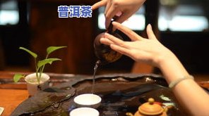 茶叶冷泡后还能热泡吗，茶叶冷泡后再热泡可以吗？影响口感的真相大揭秘！