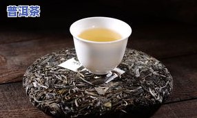 普洱茶里的铁饼是什么茶种？与普洱茶泡饼有何不同？