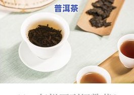 普洱茶初级入门知识，从零开始学普洱茶：初级入门知识全解析