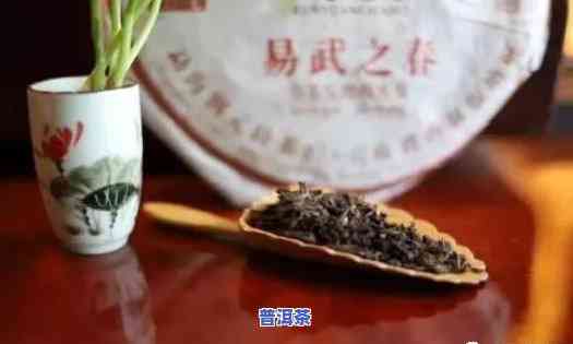 哪款普洱茶好泡-哪款普洱茶好泡一点