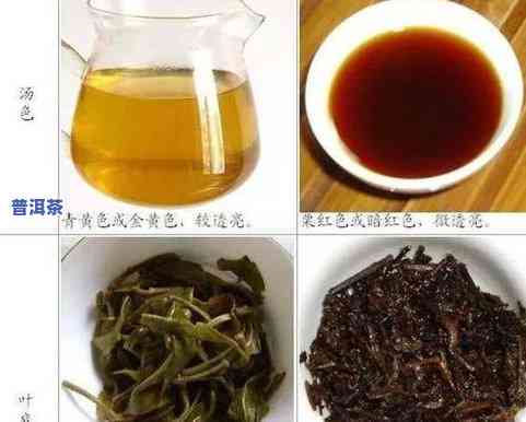 甲申普洱茶饼：甲级普洱茶与沱茶的价格比较