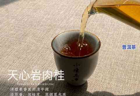 天心普洱茶-天星普洱茶