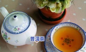 天心普洱茶-天星普洱茶