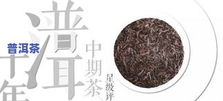 普洱茶生茶热潮，普洱茶生茶：当下的热潮与未来的发展趋势