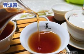 潮福城普洱茶包-潮福茶业