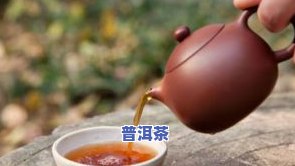 茶叶的制香工艺，揭秘茶叶的制香工艺：从采摘到烘焙的全过程