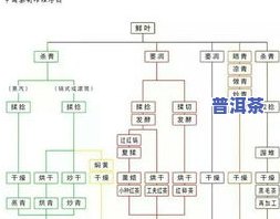 茶叶的制作六个过程，揭示茶叶制作的神秘过程：六步骤详解