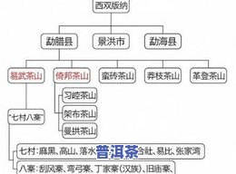 茶叶进口手续和流程图片，轻松掌握茶叶进口手续和流程：详细步骤图解