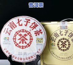 普洱茶编号代表什么，揭秘普洱茶编号背后的意义