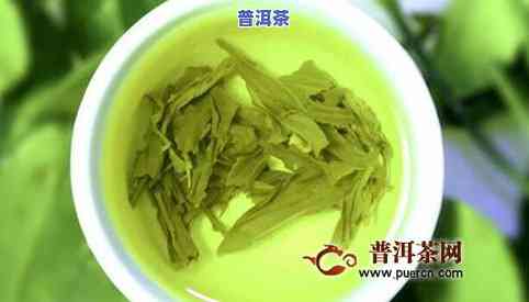 油柑子茶的功效与作用，解渴生津，清热降火——油柑子茶的神奇功效与作用解析